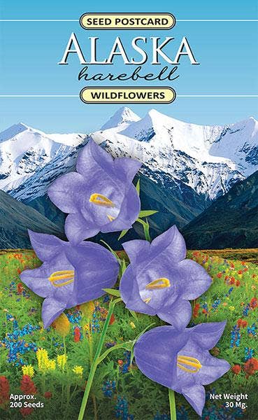 Created By Nature - Alaska Harebell Wildflower Seed Packet | Naataq Gear LLC